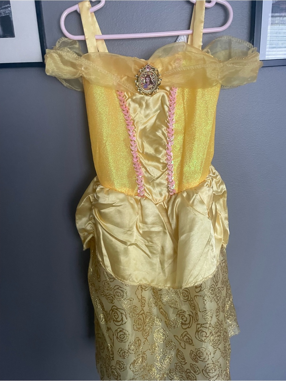 Belle Princess Costume Dress
